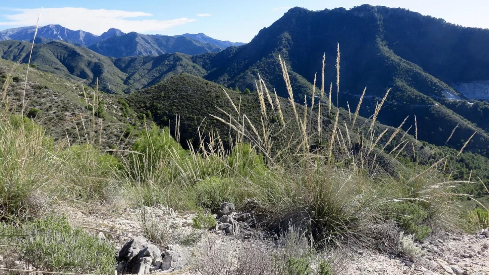 Dag 3 - Wandelvakantie Andalusi&euml;, C&oacute;mpeta en Granada
