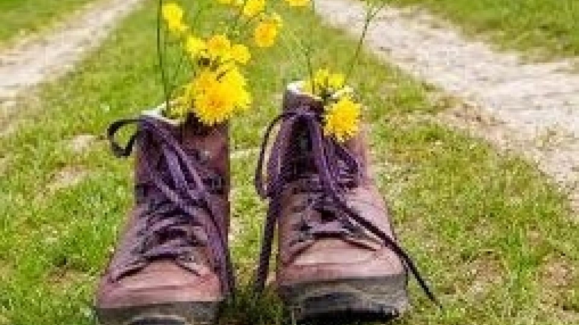 Dag 7 - Wandelvakantie Het Franse Pad - in de Livradois-Forez