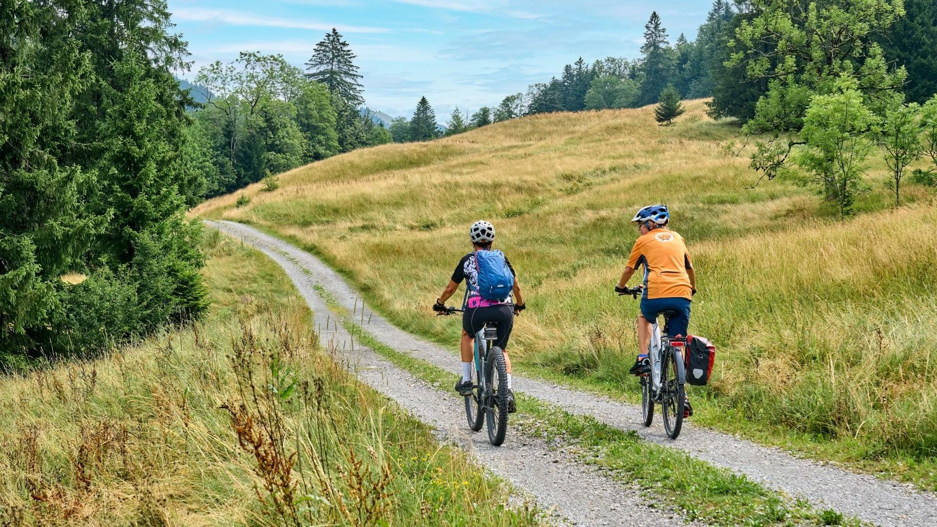 Dag 5 - Fietsvakantie Het Franse Pad - in de Livradois-Forez