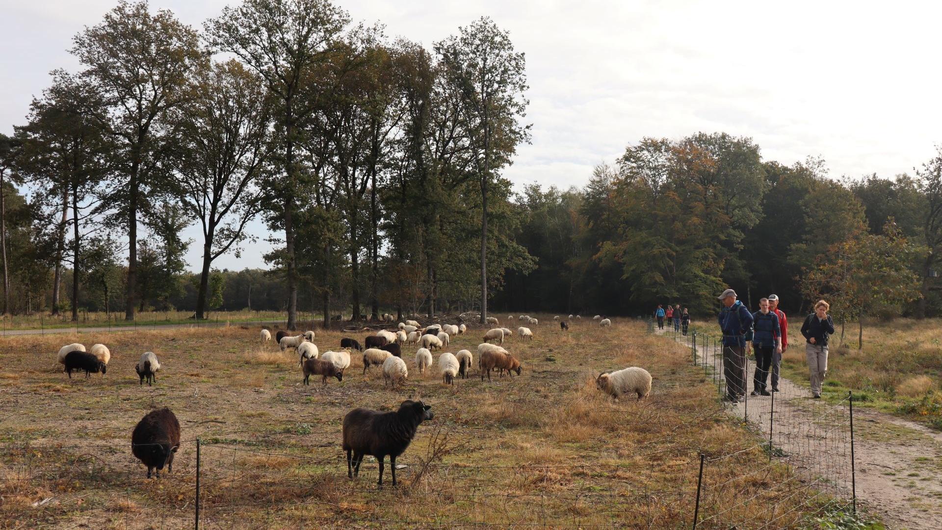 Dag 2 - Singlereis Wandelen in Twente