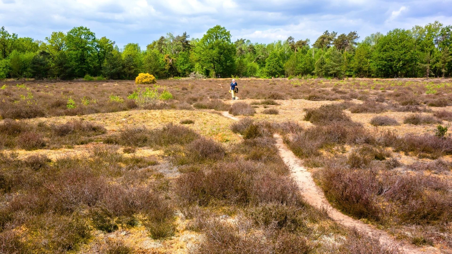 Dag 2 - Singlereis Wandelen in Twente