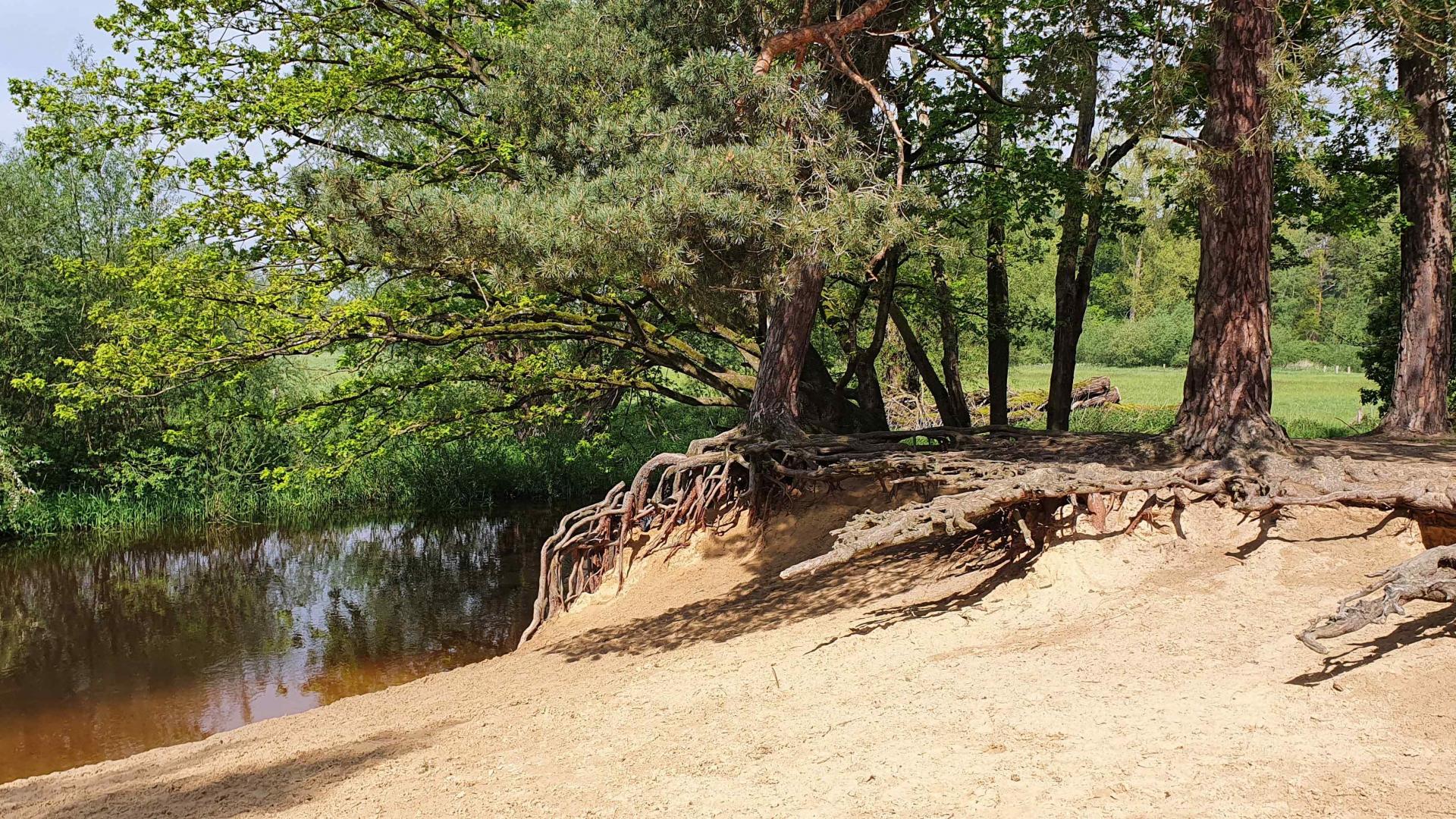 Dag 5 - Singlereis Wandelen in Twente