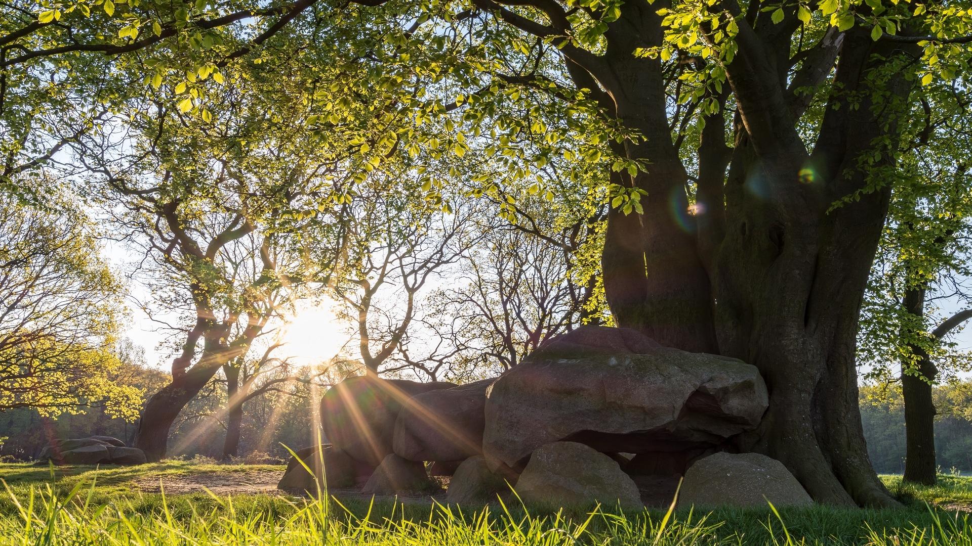 Dag 3 - Fietsvakantie door de Drentse bossen en heide 3 dagen