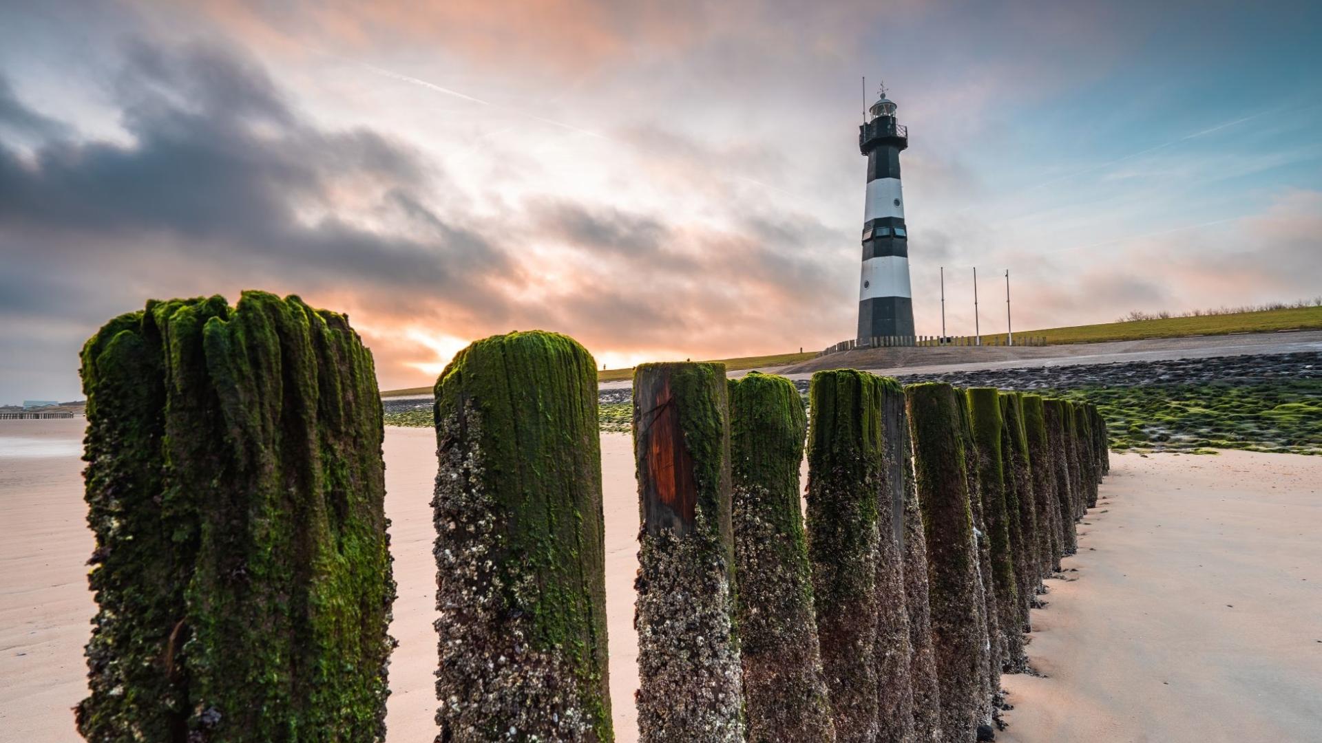 Dag 2 - Singlereis Fietsen Zeeland