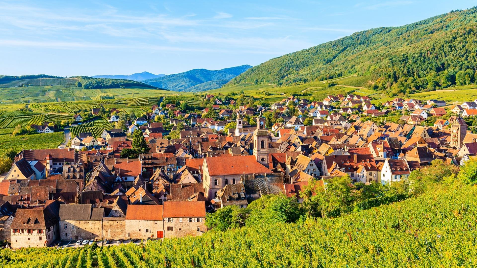 Dag 2 - Fietsvakantie Elzas vanuit Colmar