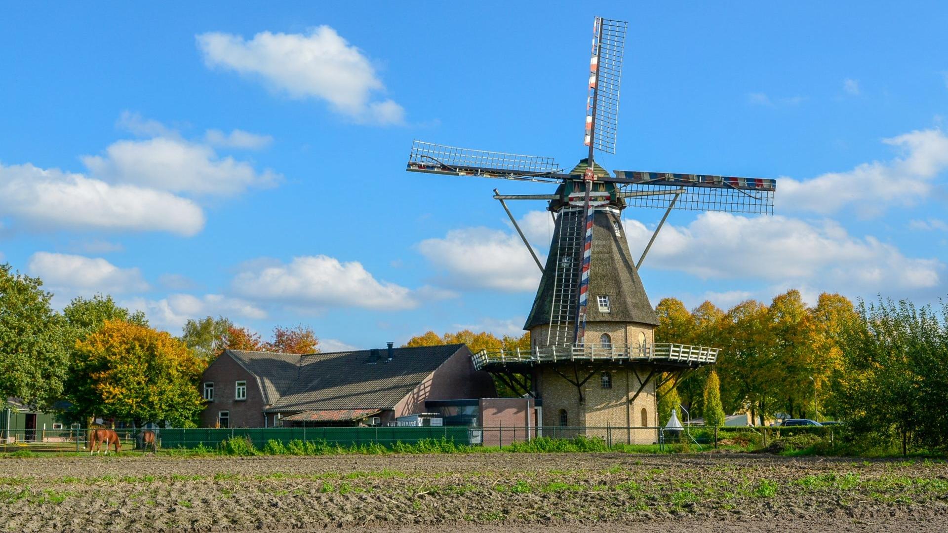 Dag 2 - Singlereis wandelen Camino Brabant van Eindhoven naar Tilburg