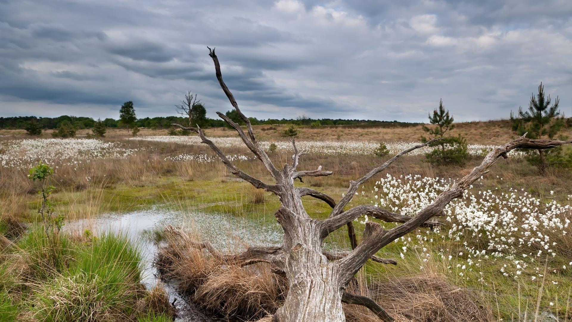 Dag 5 - Singlereis wandelen Camino Brabant van Eindhoven naar Tilburg