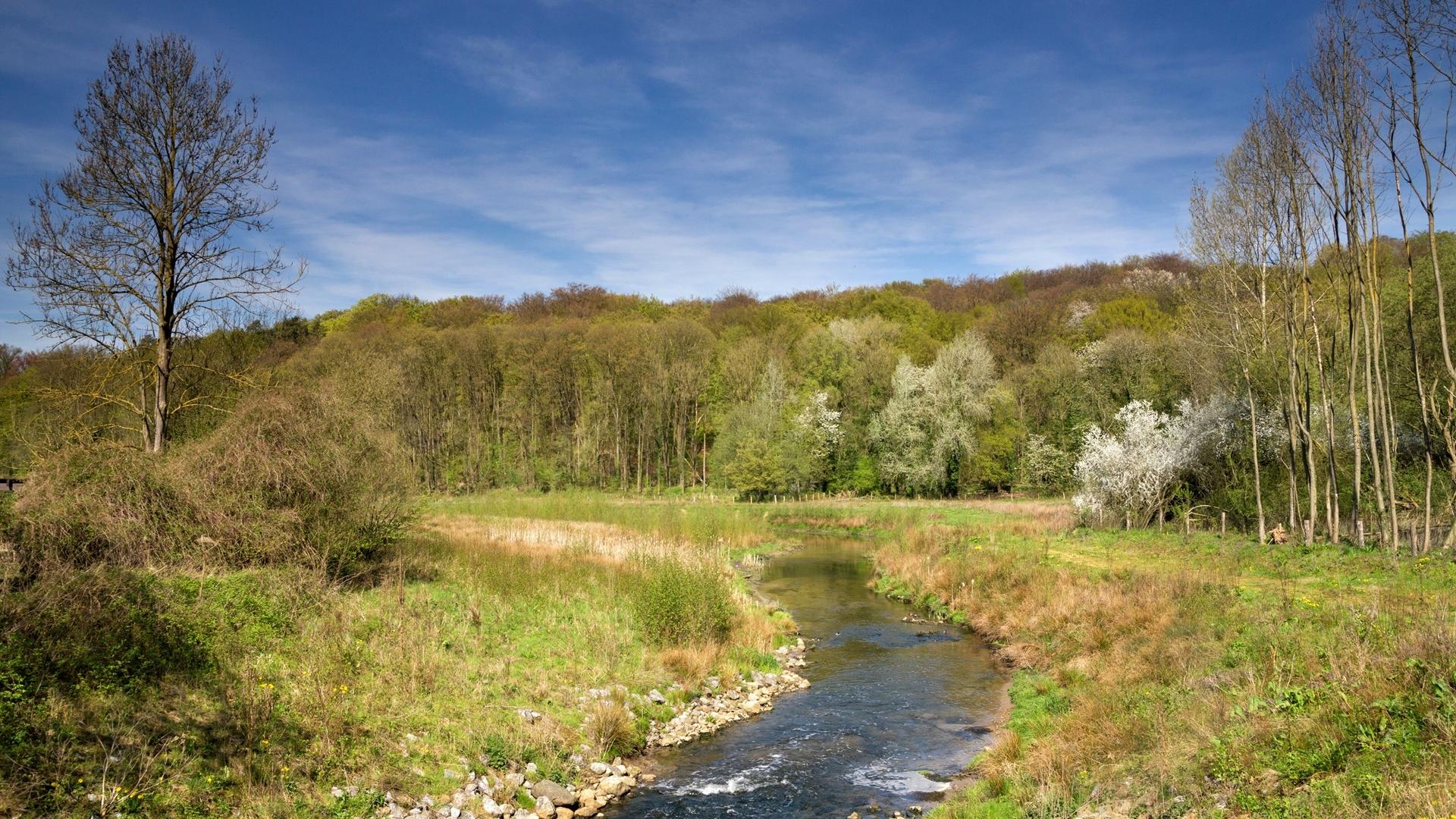 Dag 0 - Dagtocht herfstwandelen Geleenbeekdal en Stammenderbos
