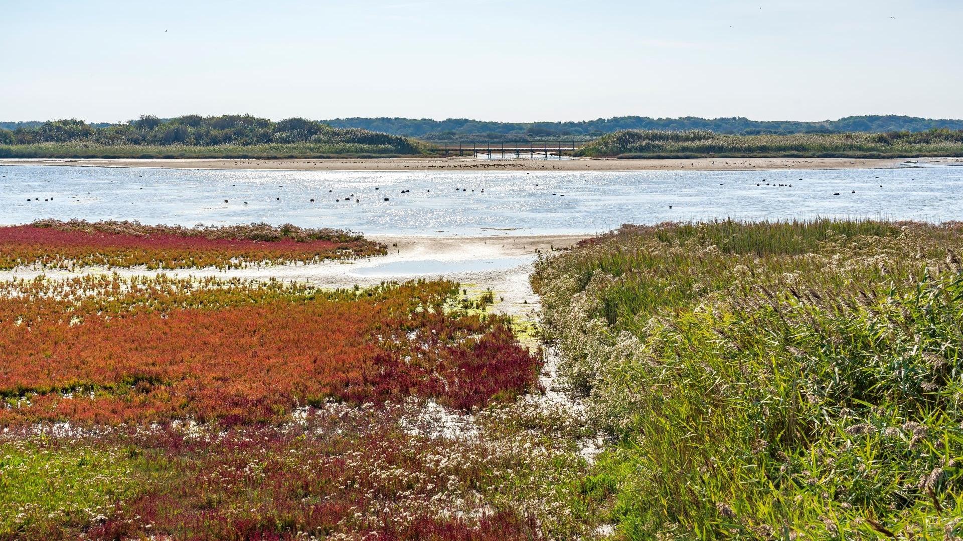Dag 3 - Singlereis Wandelen Vlieland