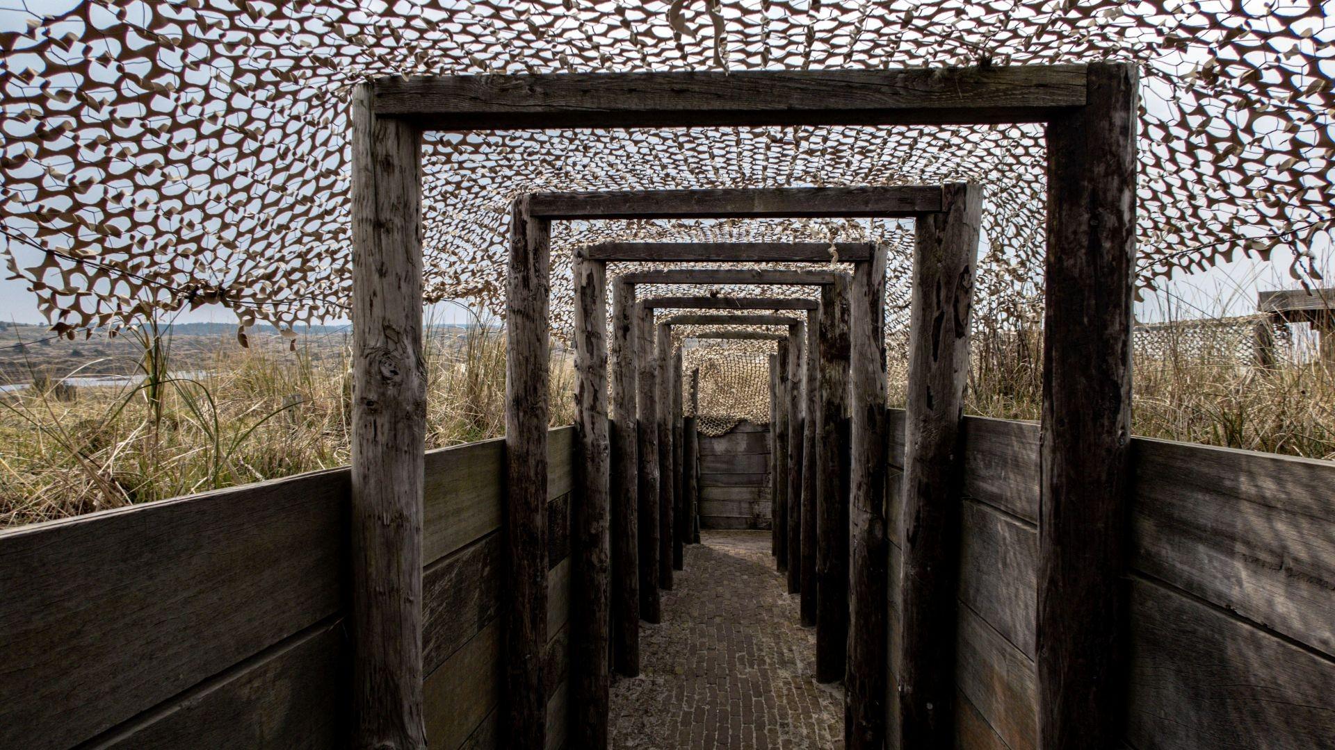 Dag 2 - Singlereis Wandelen Vlieland