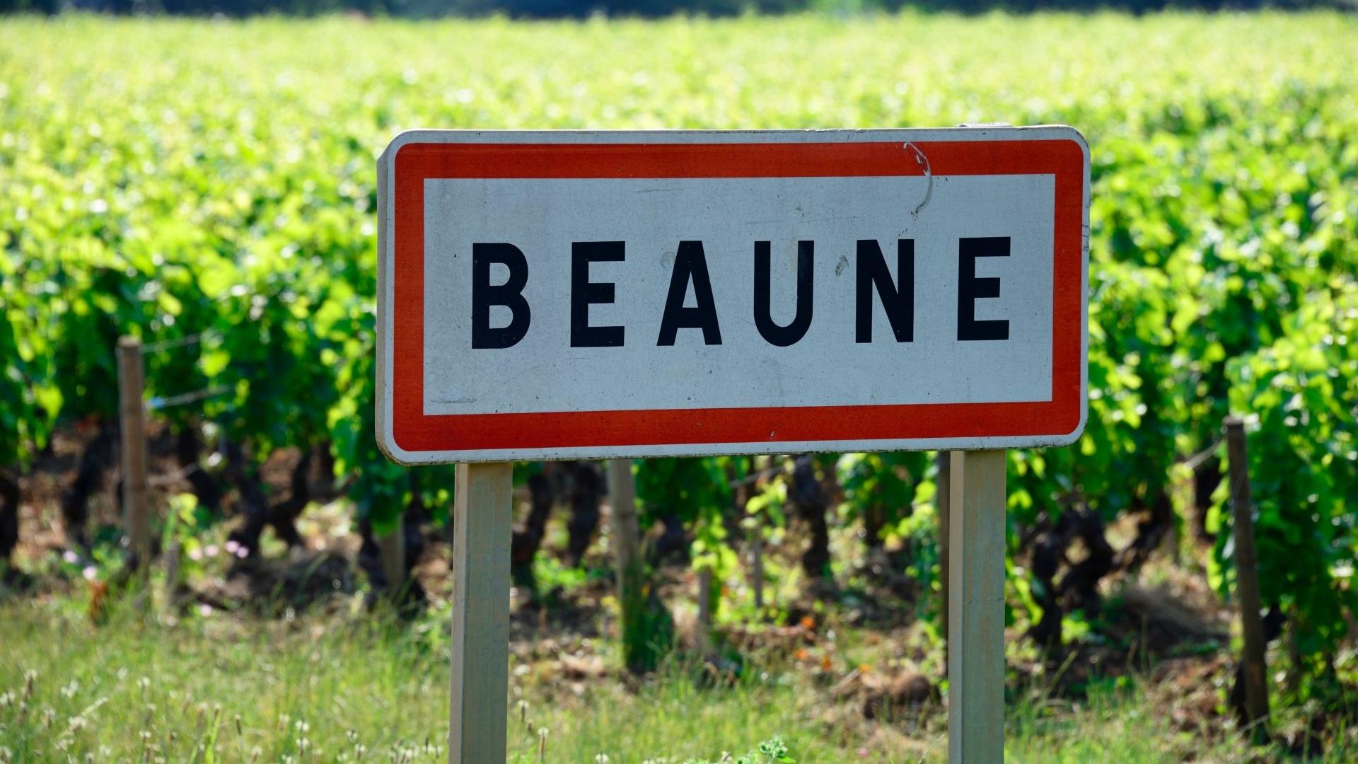 Dag 7 - Singlereis Wandelen Morvan