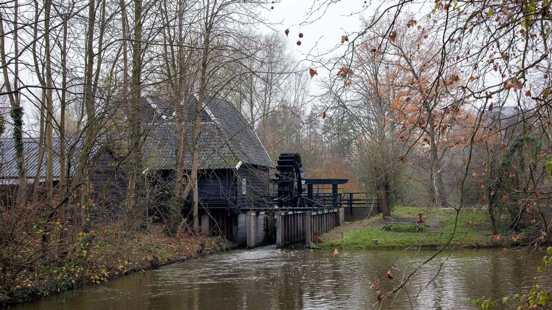 Dag 2 - Single kerstreis wandelen Camino Brabant - van Eindhoven naar Tilburg 