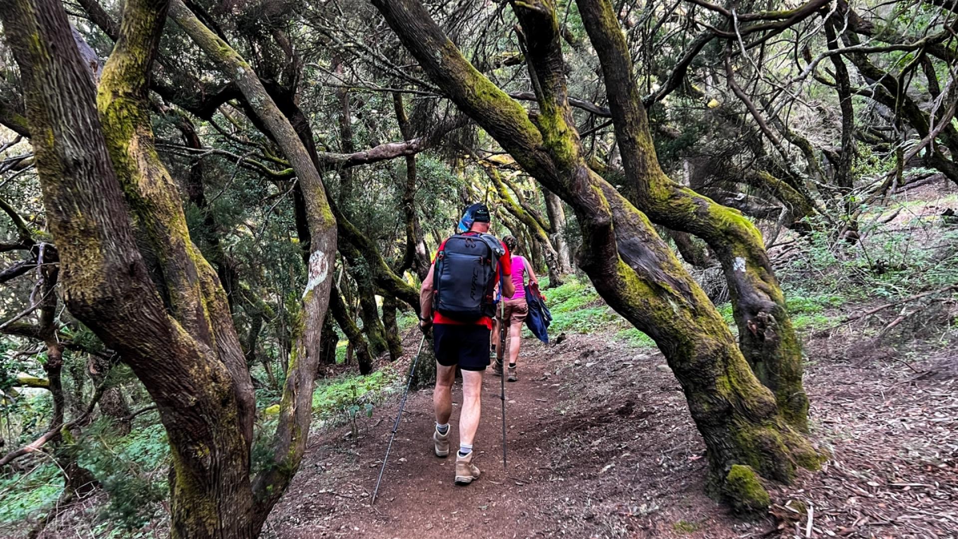 Dag 2 - Wandelvakantie La Gomera & El Hierro GR131
