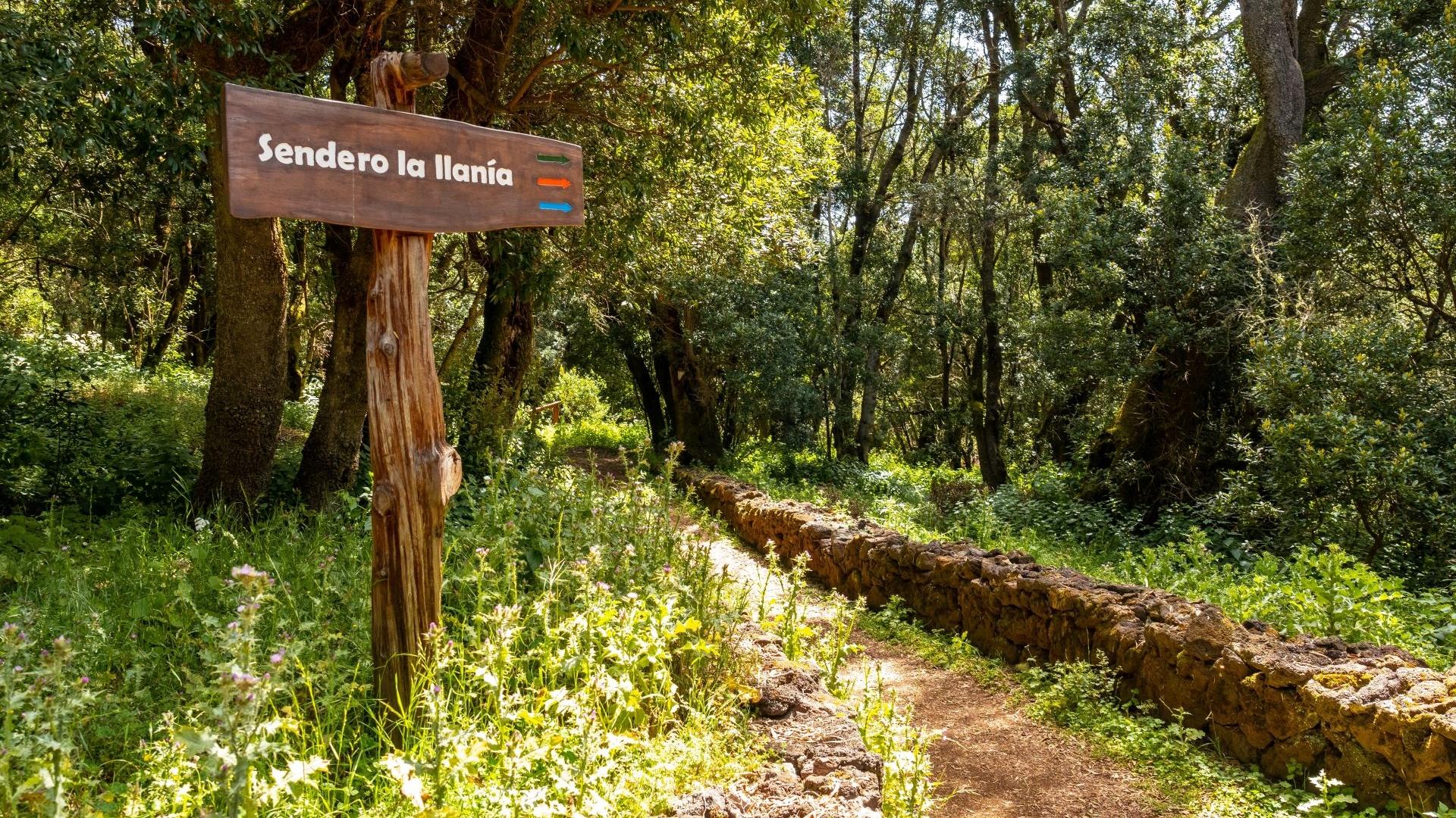 Dag 9 - Wandelvakantie La Gomera & El Hierro GR131