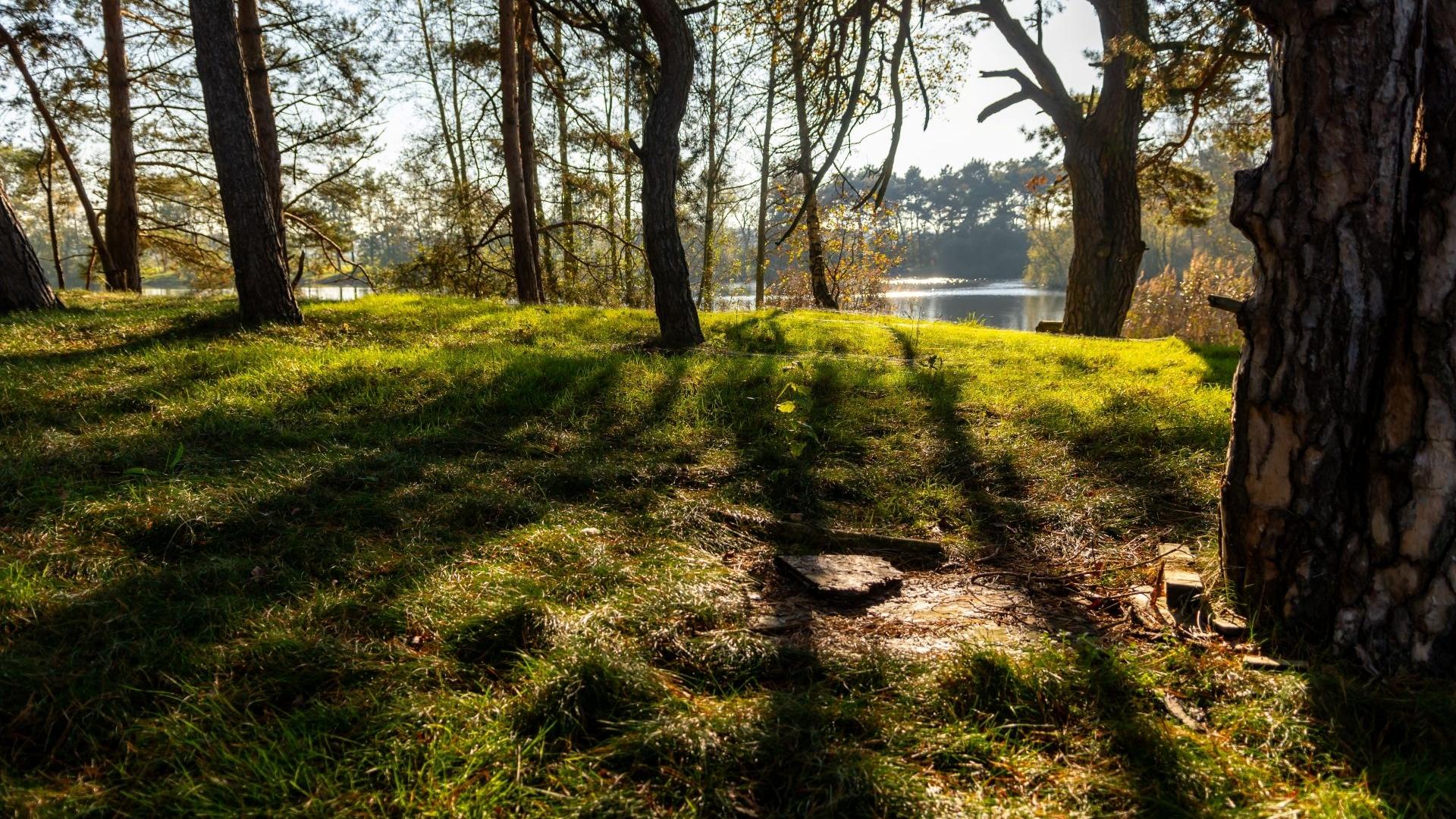 Dag 1 - Singlereis wandelen in het hart van Brabant Kerst