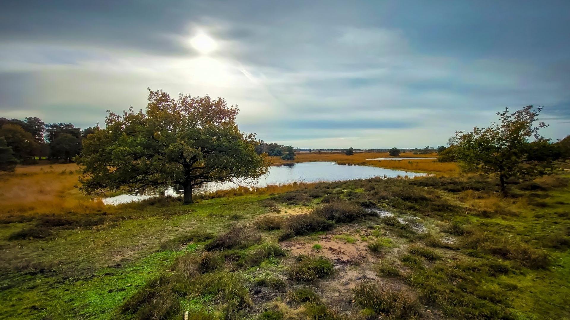 Dag 2 - Singlereis wandelen in het hart van Brabant Kerst