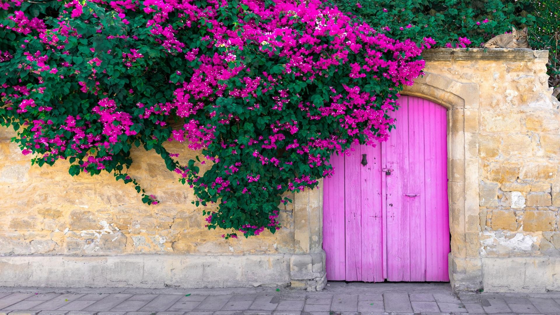 Dag 3 - Fietsvakantie Cyprus - 8 dagen