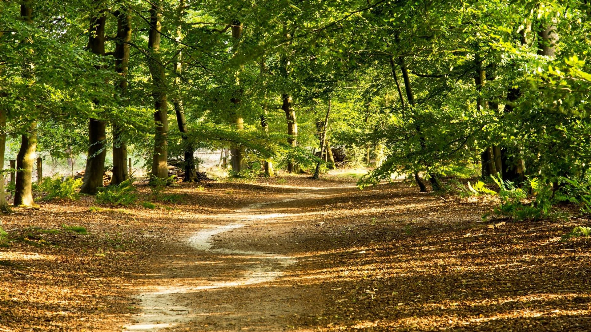 Dag 2 - Singlereis Wandelen in Twente - 3 dagen
