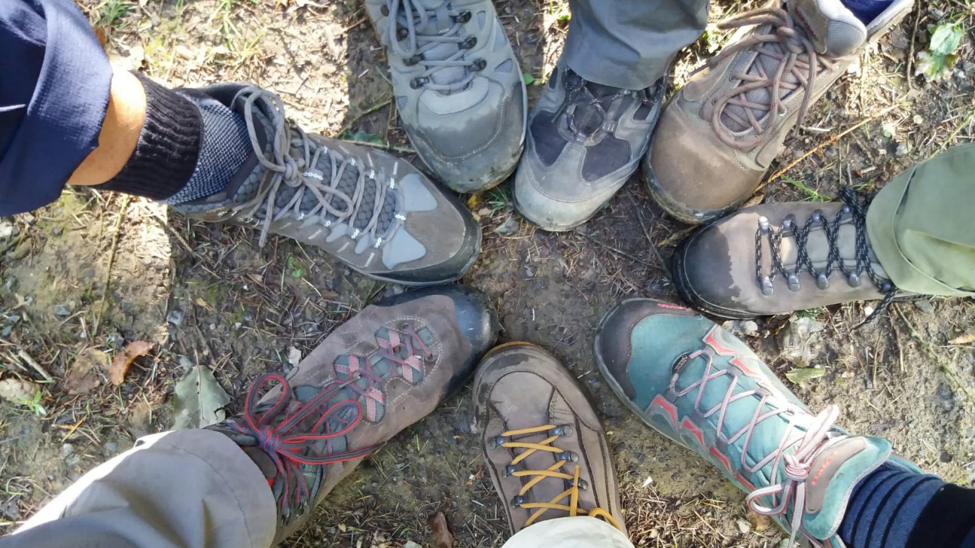 Dag 1 - Singlereis Wandelen in de Kop van Drenthe Kerst