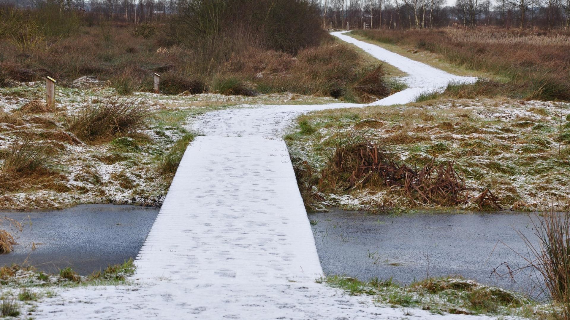 Dag 2 - Singlereis Wandelen in de Kop van Drenthe Kerst