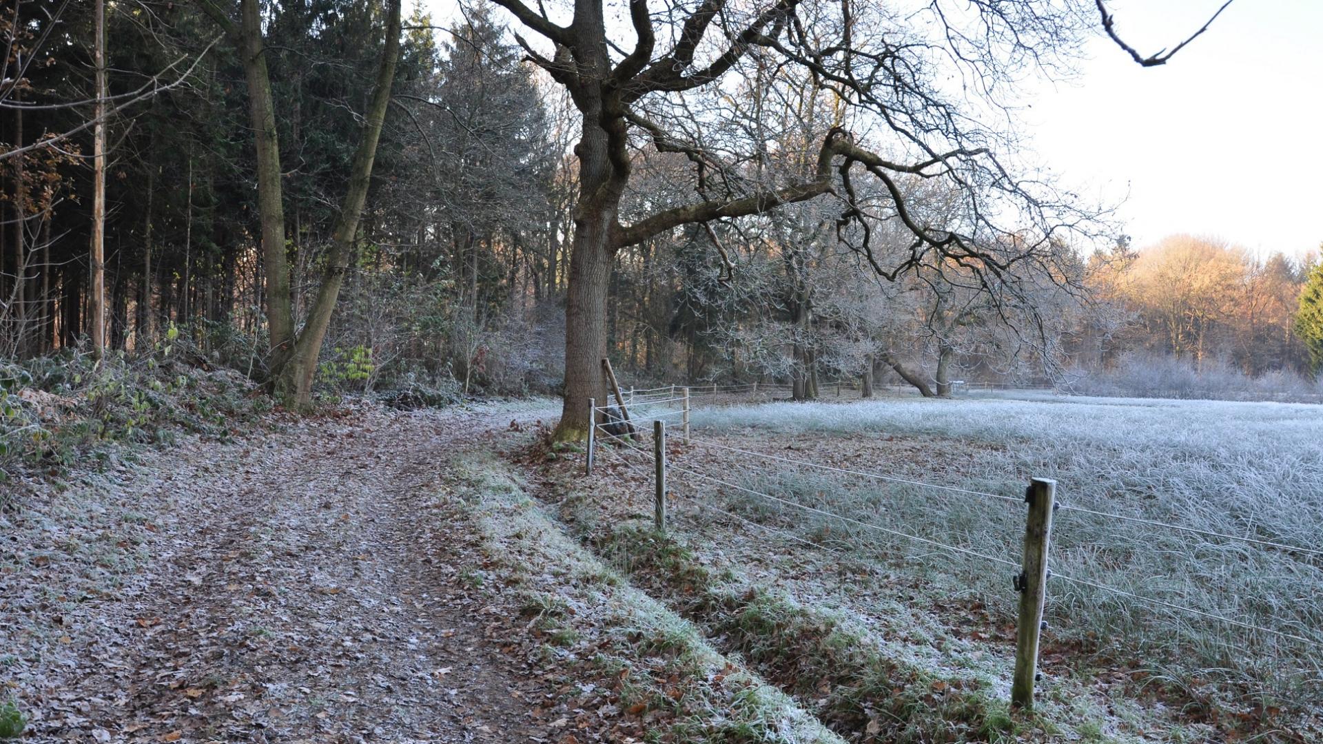 Dag 3 - Singlereis Wandelen in de Kop van Drenthe Kerst