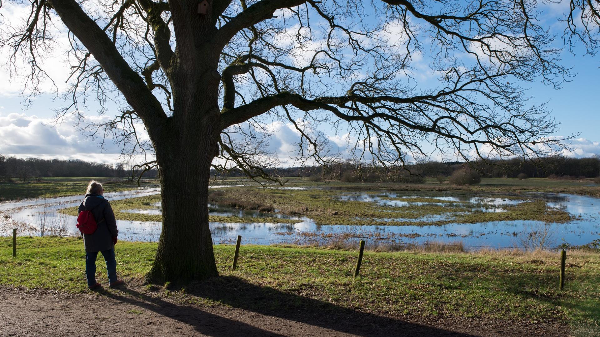 Dag 4 - Singlereis Wandelen in de Kop van Drenthe Kerst